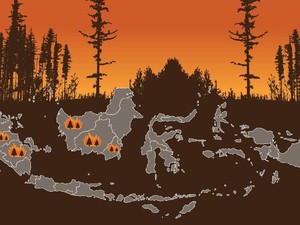 Data-data tentang Kebakaran Hutan di Kalimantan