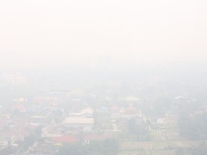 Data Airvisual: Udara Palangka Raya Berbahaya, Jambi-Pekanbaru Tidak Sehat!