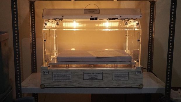 Inkubator gratis yang dipinjamkan.