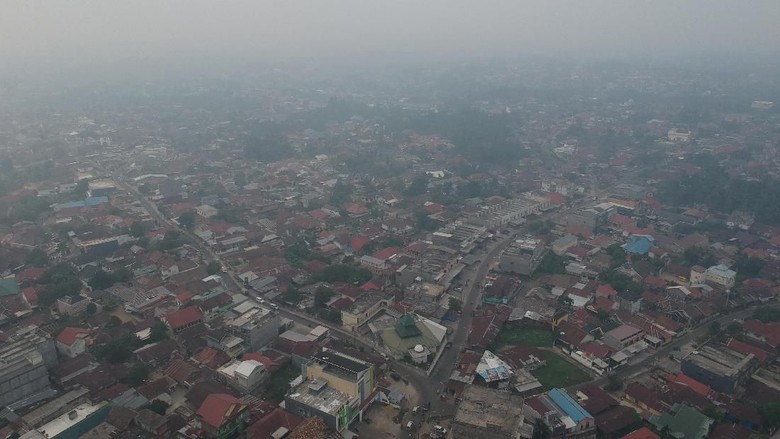 Pemprov Jambi: Banyak Buka Lahan Dibakar, Kesadaran Harus Ditingkatkan Pemprov Jambi: Banyak Buka Lahan Dibakar, Kesadaran Harus Ditingkatkan
