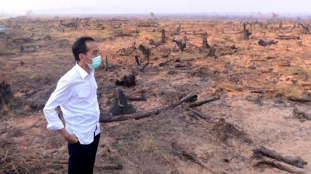 Jokowi di lokasi karhutla Presiden Jokowi saat di lokasi kebakaran hutan dan lahan tahun 2015.