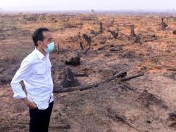 Jokowi Dilantik, Aktivis Lingkungan Ingatkan soal Karhutla-Kabut Asap