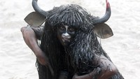 Beginilah potret warga yang didandani menyerupai kerbau lengkap dengan tanduknya dan seluruh badannya diwarnai hitam.
