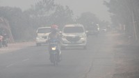 Bahkan ada beberapa sekolah yang diliburkan akibat kabut asap. Warga pun diminta untuk mengurangi aktivitas di luar ruangan khususnya bagi ibu hamil, bayi, anak-anak, lansia dan orang dengan risiko penyakit rentan seperti asma. Foto: ANTARA FOTO/Bayu Pratama S