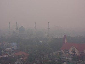 Polri Audit 6 Polda soal Penanganan Karhutla: Yang Lalai, akan Dimutasi!