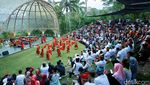 Foto: Festival Lembah Ijen di Ketinggian 600 Mdpl