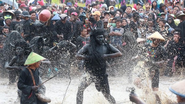 Melihat Keseruan Ritual Kebo-keboan Alasmalang
