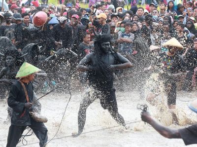 Melihat Keseruan Ritual Kebo-keboan Alasmalang