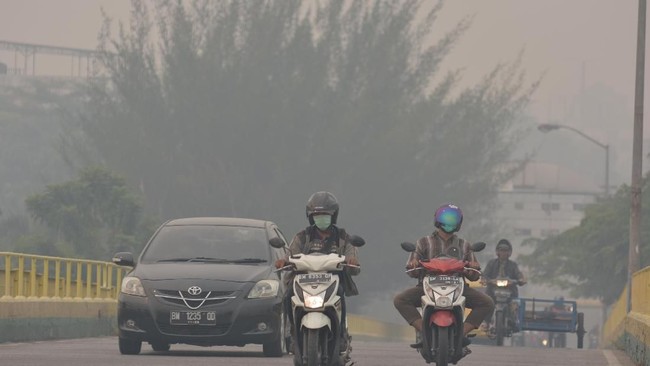 Aturan Ini Harus Direvisi Agar Kebakaran Hutan Tidak Terjadi Lagi