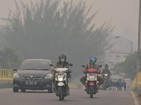 Aturan Ini Harus Direvisi Agar Kebakaran Hutan Tidak Terjadi Lagi