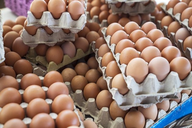 Cermati Konsumsinya, 6 Makanan Ini Sering Memicu Keracunan