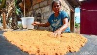 Penjualan gula semut ini pun tak hanya terbatas di Pulau Rote, dengan bantuan Rumah Kreatif BUMN Bank BRI penjualan gula semut itu pun dapat dipasarkan hingga ke berbagai wilayah.