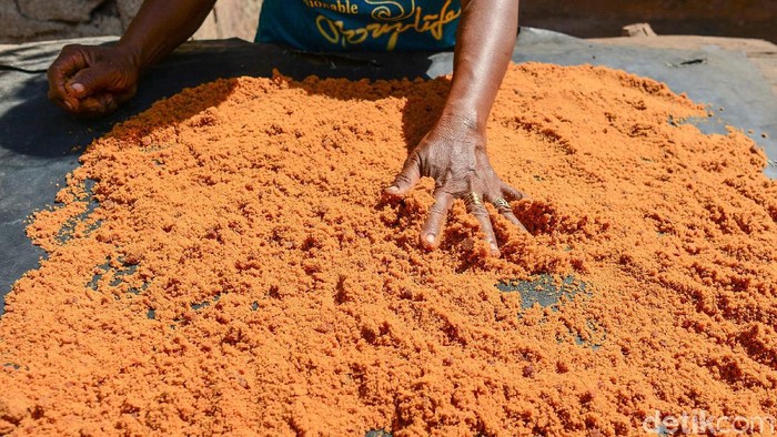 Saat kunjungi Pulau Rote di NTT, pohon lontar banyak ditemukan di sana. Tanaman yang disebut pohon kehidupan itu jadi bahan dasar membuat gula semut. Penasaran?