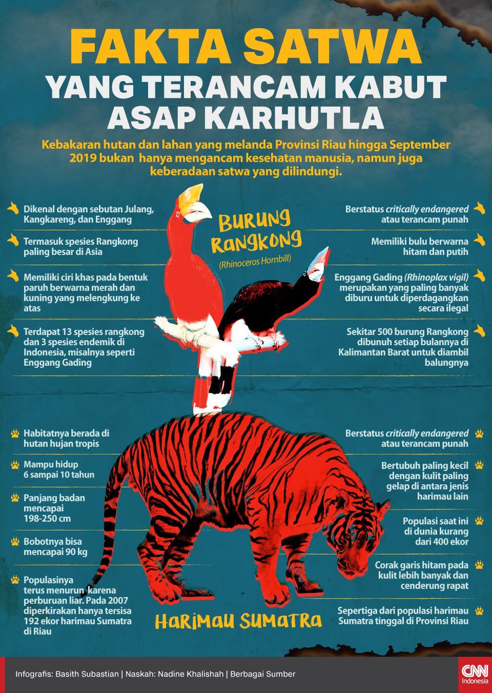 Infografis Fakta Satwa yang Terancam Kabut Asap Karhutla