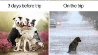 Ketika kamu heboh merancang liburan bareng teman-teman, tapi akhirnya cuma pergi sendirian. (Foto: via Boredpanda.com)