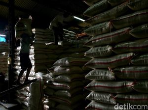 20 Ribu Ton Beras Bulog Terancam Dimusnahkan, Tak Ada Opsi Lain?