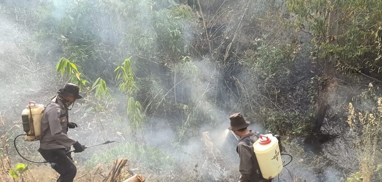 Sudah 2 Pekan, Karhutla di Sulteng Masih Belum Padam Sudah 2 Pekan, Karhutla di Sulteng Masih Belum Padam