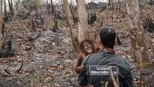 Nudist jinsiy aloqa hd