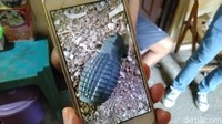 Penampakan geranat yang ditemukan di rumah Sujono.
