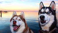 Ingin nyantai saat liburan tapi pasangan maunya foto melulu setiap beberapa menit itu be like... (Foto: via Boredpanda.com)