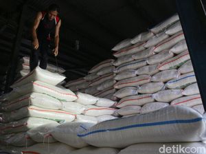 Buwas Prediksi Beras Bansos Bulog Tak Bisa Tersalur 100%