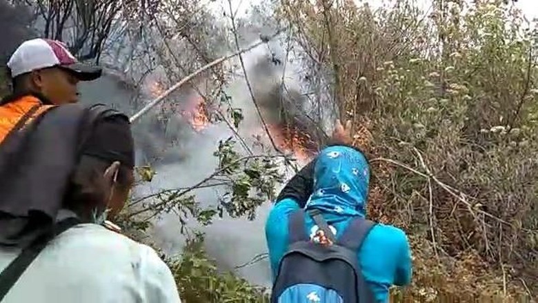 Kebakaran di Gunung Merbabu, Kawasan Edelweis Ikut Hangus Terbakar Kebakaran di Gunung Merbabu, Kawasan Edelweis Ikut Hangus Terbakar