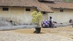 Foto: Penampakan Rumah Sakit Tertua di Indonesia