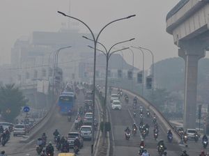 Kemenkes Tegaskan Bayi Meninggal di Sumsel Bukan Karena Asap Karhutla