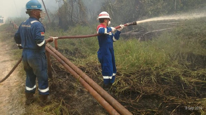 Pertamina Pastikan Sumur Minyak Dekat Karhutla Aman Pertamina Pastikan Sumur Minyak Dekat Karhutla Aman