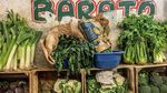 Berkunjung ke Tepito, Pasar di Meksiko yang Paling Ganas dan Berbahaya di Dunia
