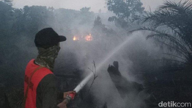 Aturan Ini Harus Direvisi Agar Kebakaran Hutan Tidak Terjadi Lagi