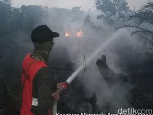Dianggap Belum Maksimal Tangani Karhutla, Jokowi Diminta Buka Data HGU Hutan