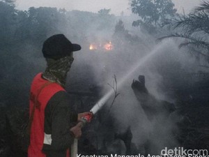 Kabut Asap Sampai ke Singkawang Kalbar, Siswa SD Diliburkan 2 Hari