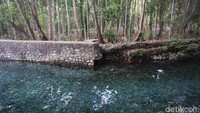 Selain digunakan sebagai pemandian untuk tempat wisata, aliran mata airnya juga ada yang langsung dialirkan ke persawahan dan untuk sumber kebutuhan air masyarakat (Afif Farhan/detikcom)