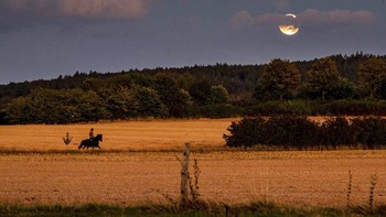 Nama lain dari fenomena ini adalah corn moon, berdasarkan The Old Farmers Almanac. Sebagian masyarakat meyakini kemunculannya sebagai penanda awal dari masa keberuntungan. Foto: AP