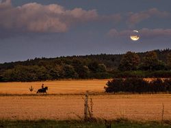 Foto Pemandangan Indah Bulan Purnama Langka