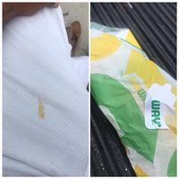 Dikira Mustard di Sandwich, Pria Ini Makan Kotoran Bayinya Sendiri!