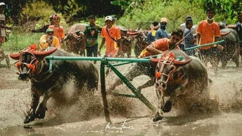 Foto: (Dispopar Sumbawa) Foto: (Dispopar Sumbawa)