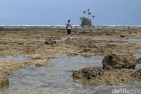 Bisa dicapai saat air surut (Randy/detikcom)