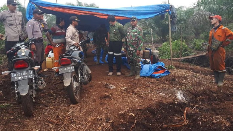 Padamkan Karhutla, Tim Gabungan Temukan Jejak Harimau di Pelalawan Padamkan Karhutla, Tim Gabungan Temukan Jejak Harimau di Pelalawan