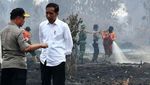 Jokowi Cek Kebakaran Hutan di Riau, Begini Kondisinya