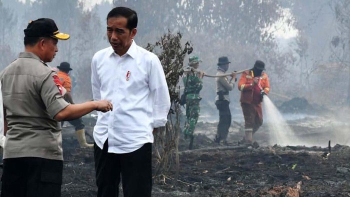 Presiden Joko Widodo (Jokowi) meninjau lokasi kebakaran hutan dan lahan di Merbau, Riau. Jokowi menekankan pentingnya upaya pencegahan terhadap karhutla.