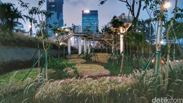Ini adalah mini hutan pinus. menciptakan area suasana hutan tropis di tengah Kota Jakarta. (Tasya/detikcom) Ini adalah mini hutan pinus. menciptakan area suasana hutan tropis di tengah Kota Jakarta. (Tasya/detikcom)
