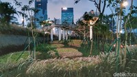 Ini adalah mini hutan pinus. menciptakan area suasana hutan tropis di tengah Kota Jakarta. (Tasya/detikcom)