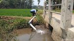Mantul! Sinar Matahari Dipakai Sedot Air Aliri Sawah
