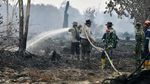Jokowi Cek Kebakaran Hutan di Riau, Begini Kondisinya