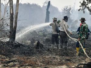 Cegah Kebakaran Hutan Bisa Libatkan Warga Pakai Koperasi