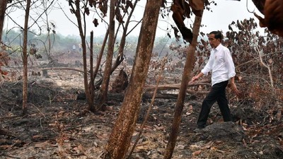 Jokowi Cek Kebakaran Hutan di Riau, Begini Kondisinya