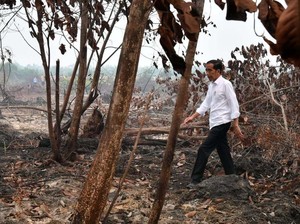 Potret Sepatu Kotor Jokowi yang Jadi Judul Sajak Fadli