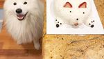 Kenalan Sama Samson, Anjing Super Lucu yang Suka Jajan